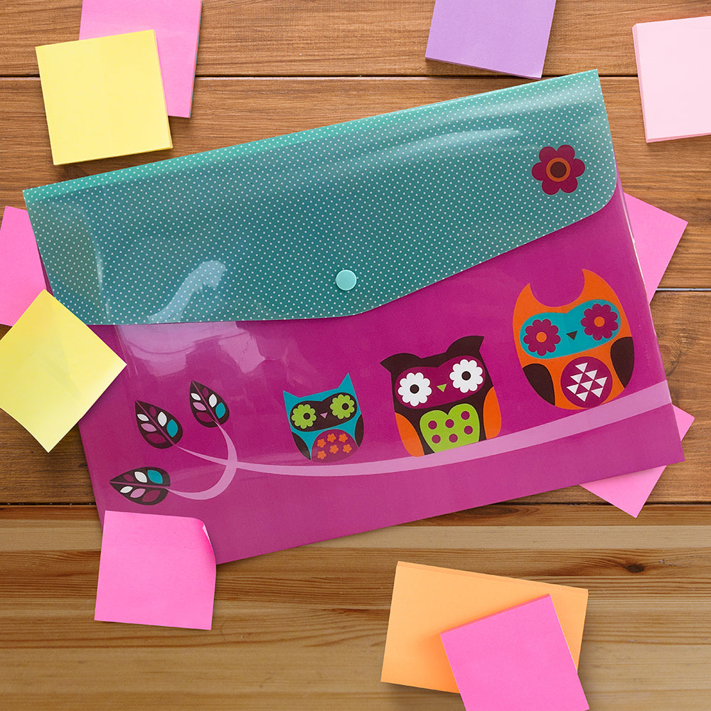3 Pack Owl Popper Wallets School Office Home